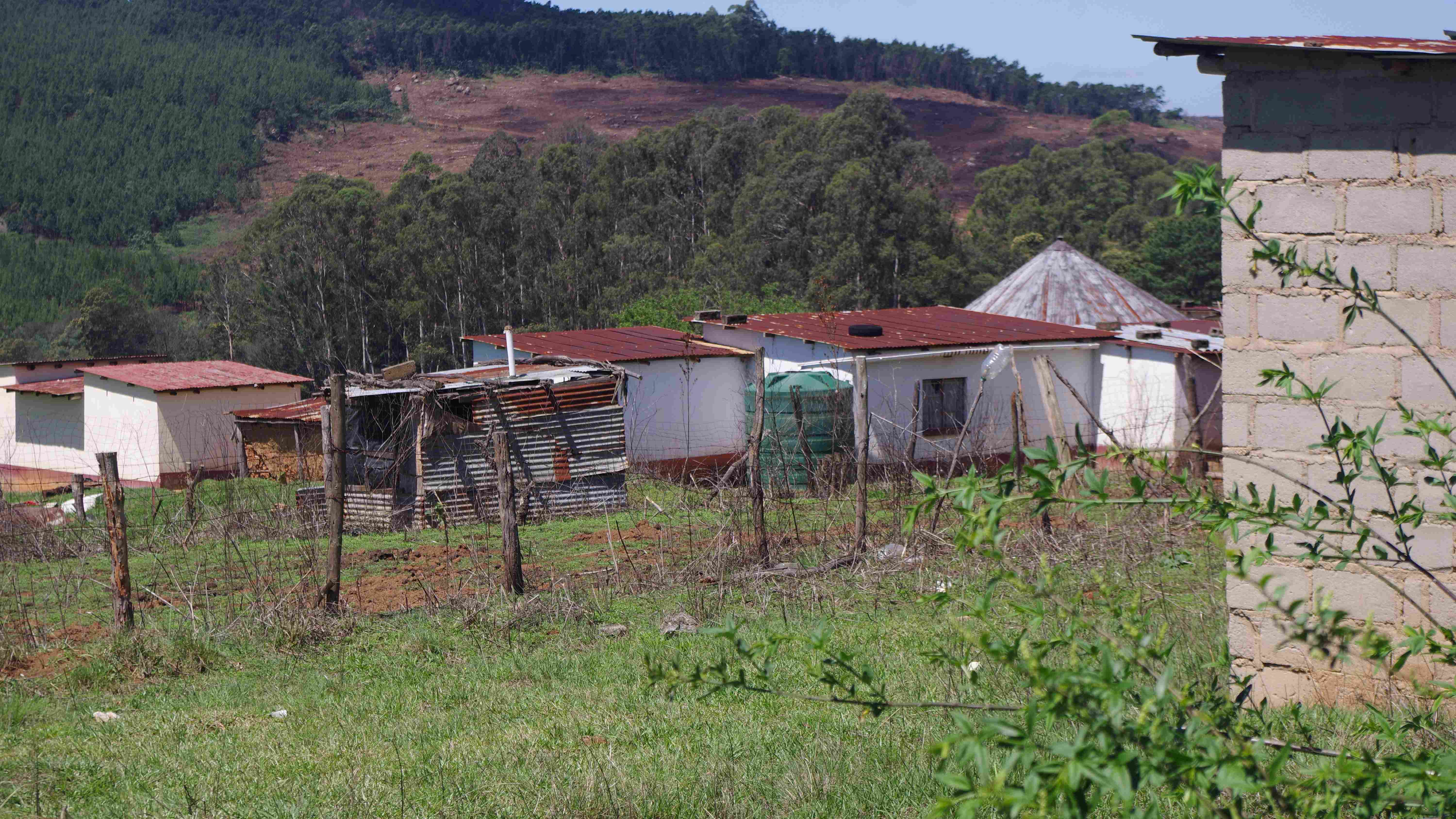 Another homestead at Maplazini, which has rejected the E150 000 relocation compensation offered to all families of Mambazo and Maplazini by Montigny. 